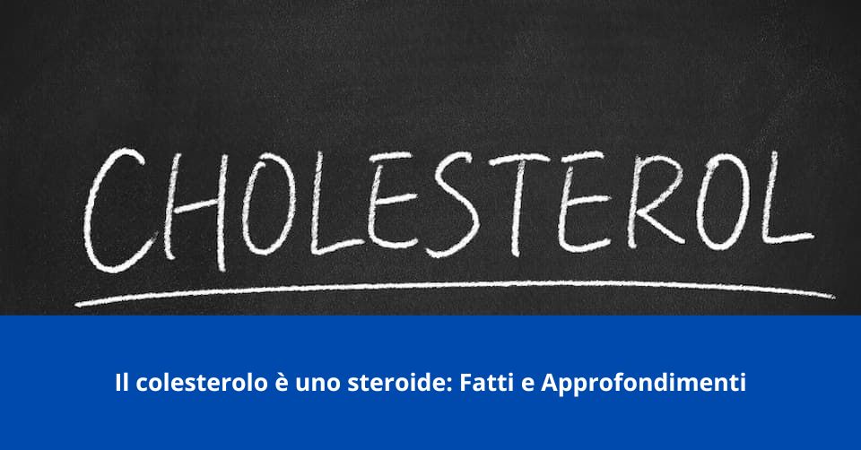 il colesterolo è uno steroide